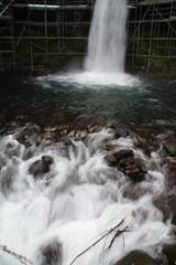 IMGP3428r
