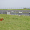IMGP4675