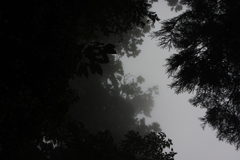 IMGP2194_1