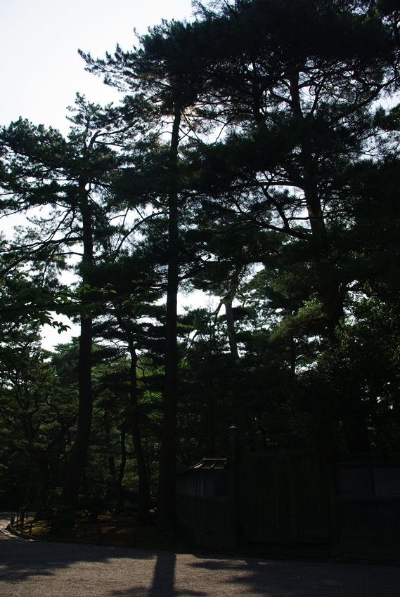 IMGP2284r