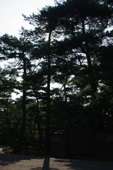 IMGP2284r
