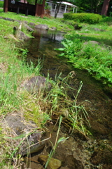 IMGP2120