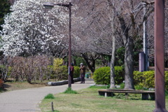 IMGP3957