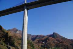 IMGP3153