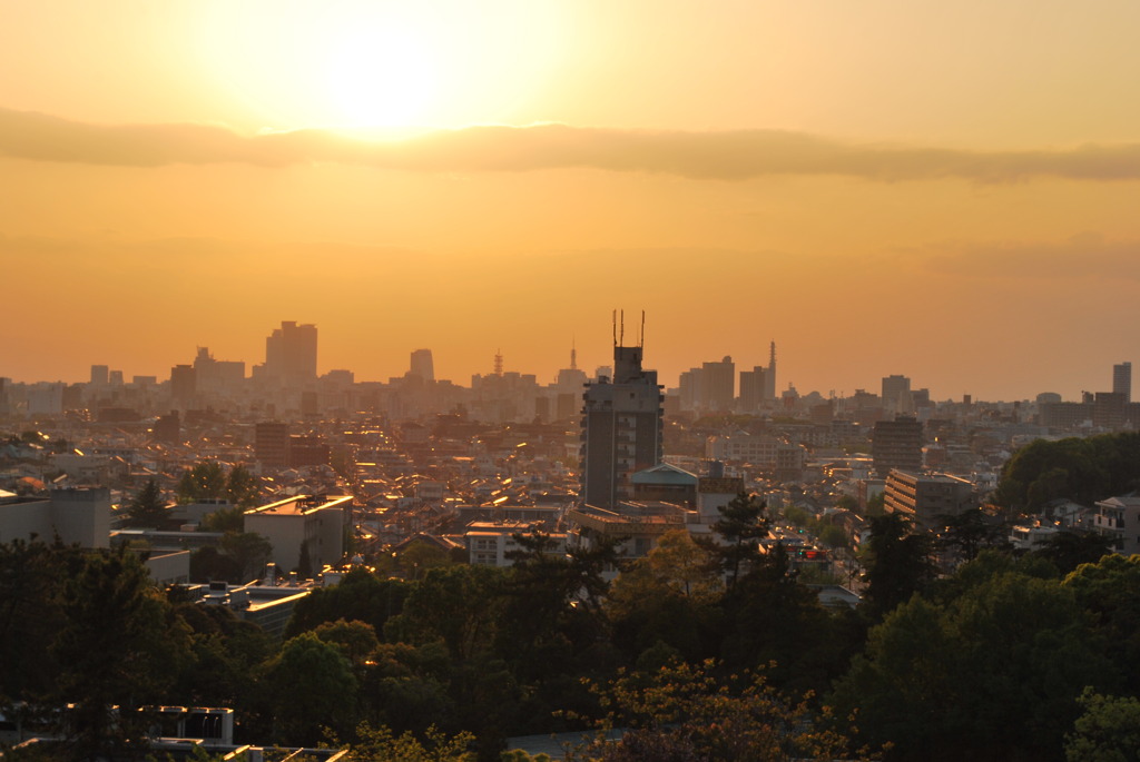 名古屋city