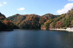 布引水源地