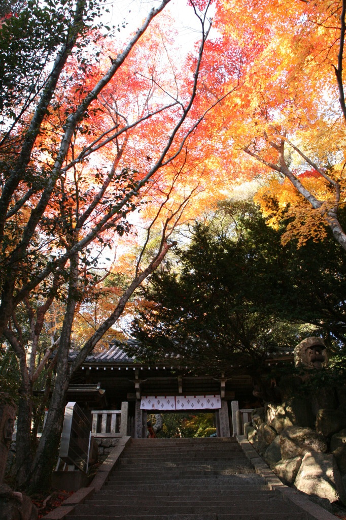 大竜寺山門