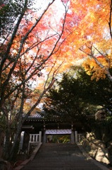 大竜寺山門
