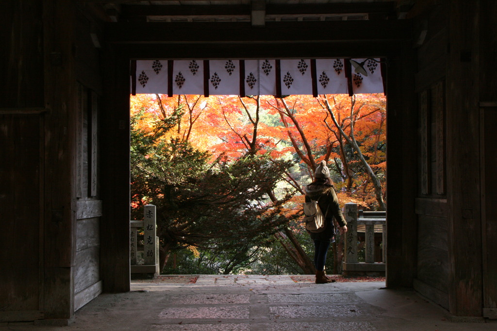 大竜寺山門より