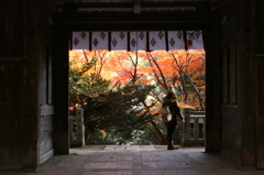 大竜寺山門より