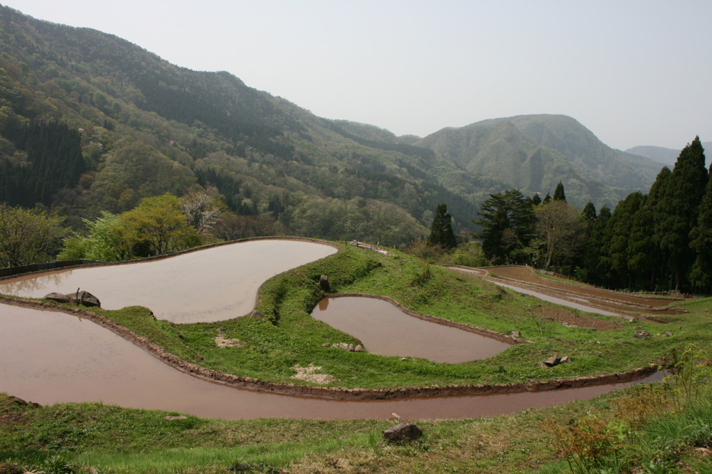 高地の田園