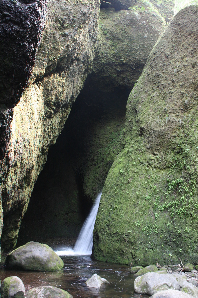 岩陰にひそむ滝姿