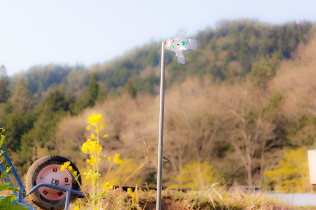 田園風景