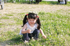 白爪草のかんむり