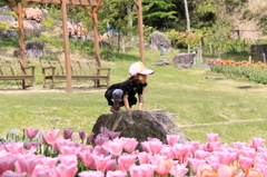 ライオンキング