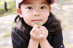 四葉のクローバー