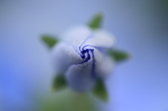 ロケット１号！！