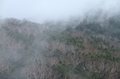 振り向いた景色