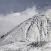 震える山