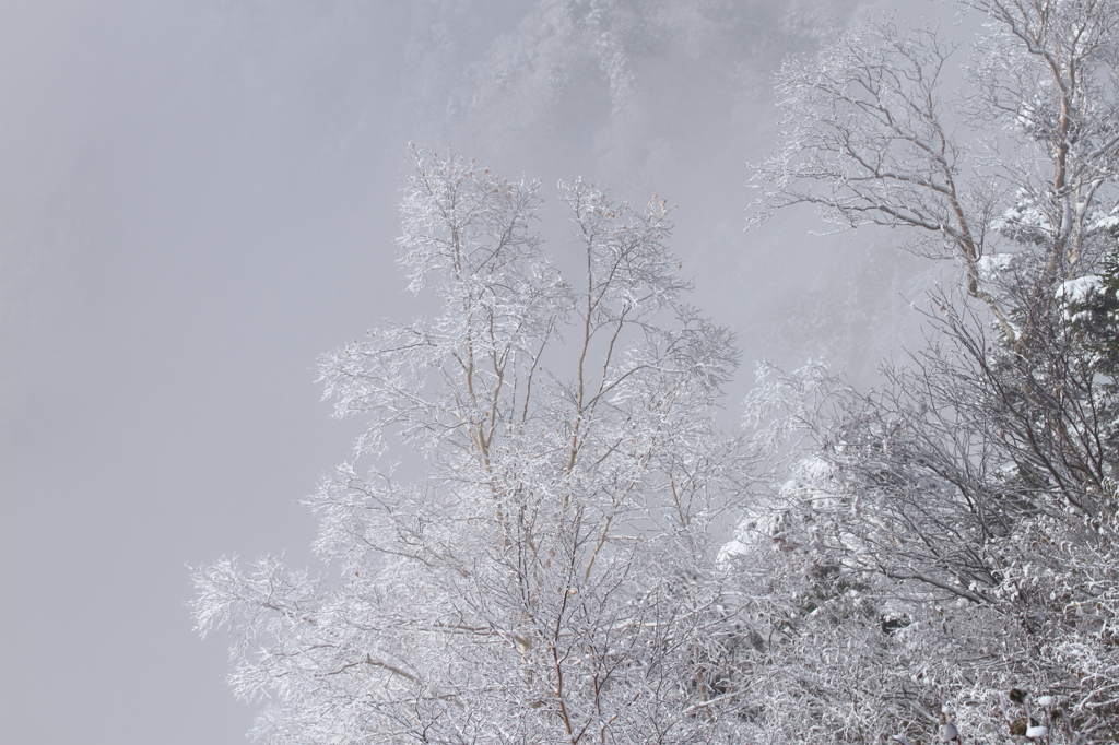 white breath