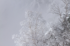 white breath