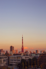 東京タワー
