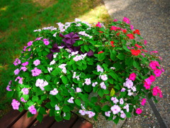 花