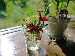 花