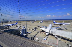 飛行機