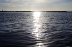 海