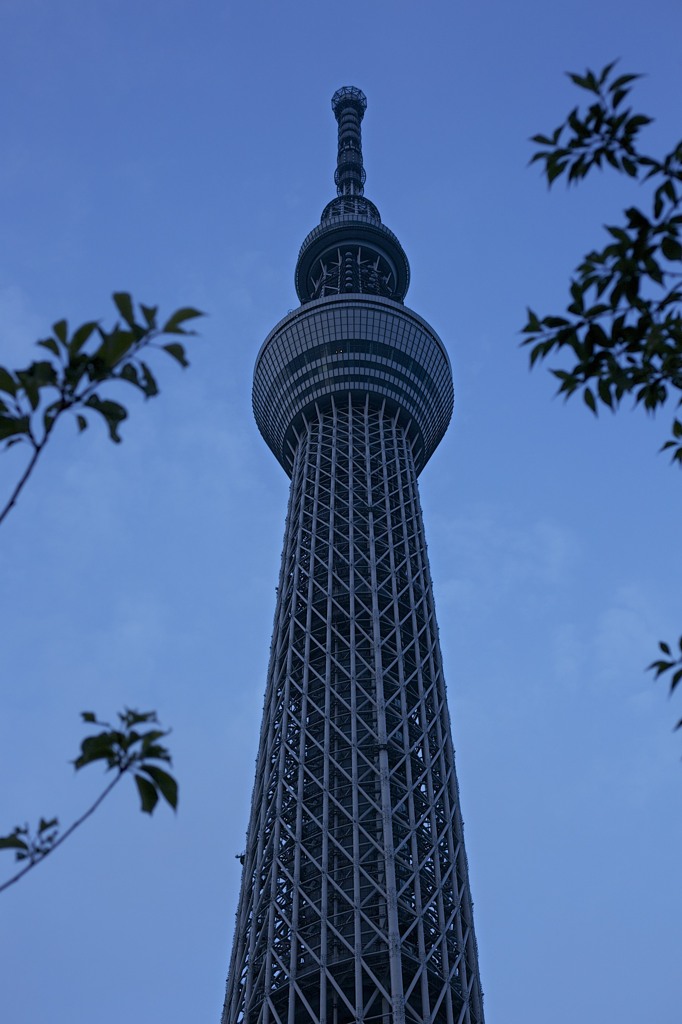 Tokyo Sky Tree