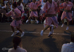 高円寺阿波踊り15