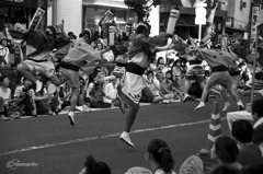 高円寺阿波踊り27