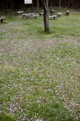 新林公園09