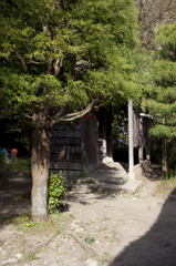 新林公園03