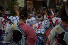 高円寺阿波踊り30