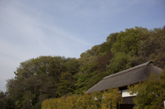 新林公園11