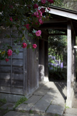 新林公園04