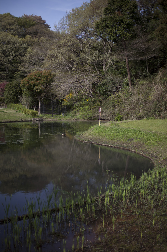 新林公園06