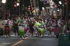 三鷹阿波踊り01
