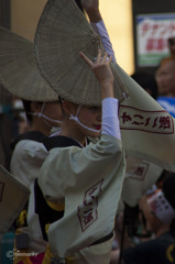 高円寺阿波踊り26
