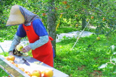 apple