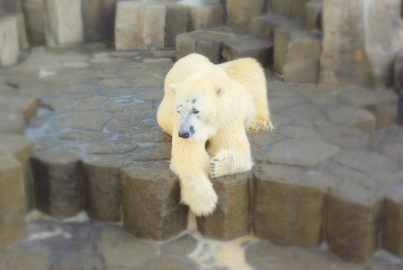 きゅうけいちゅう