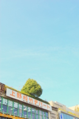 晴れた空の下