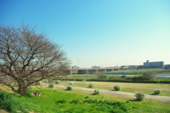 土手にて