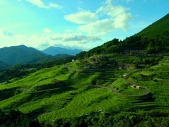 丸山千枚田