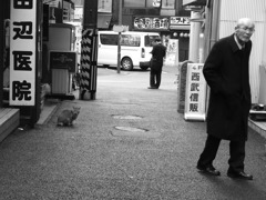 老人と猫