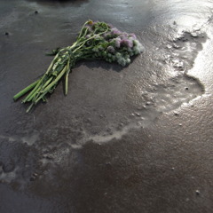 花束