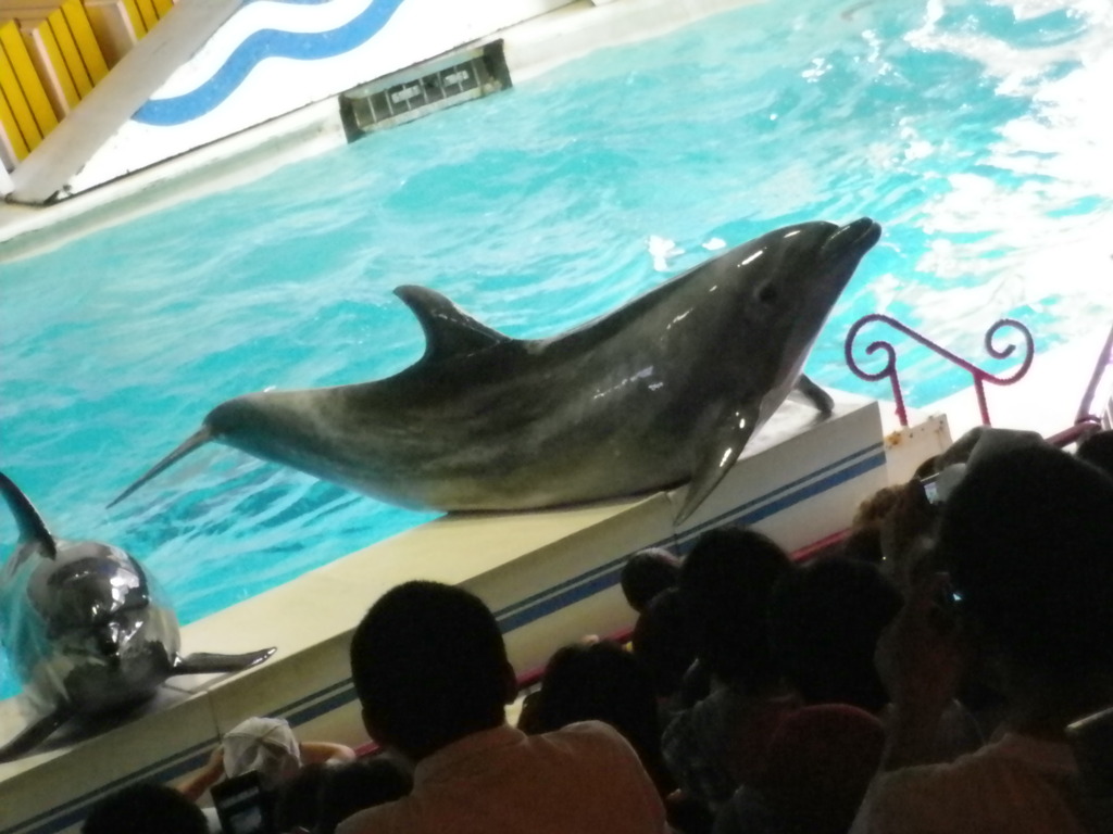 IMGP0752
