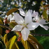 IMGP0465